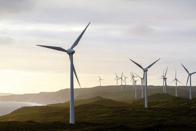 Image: Milbsie/stock.adobe.com