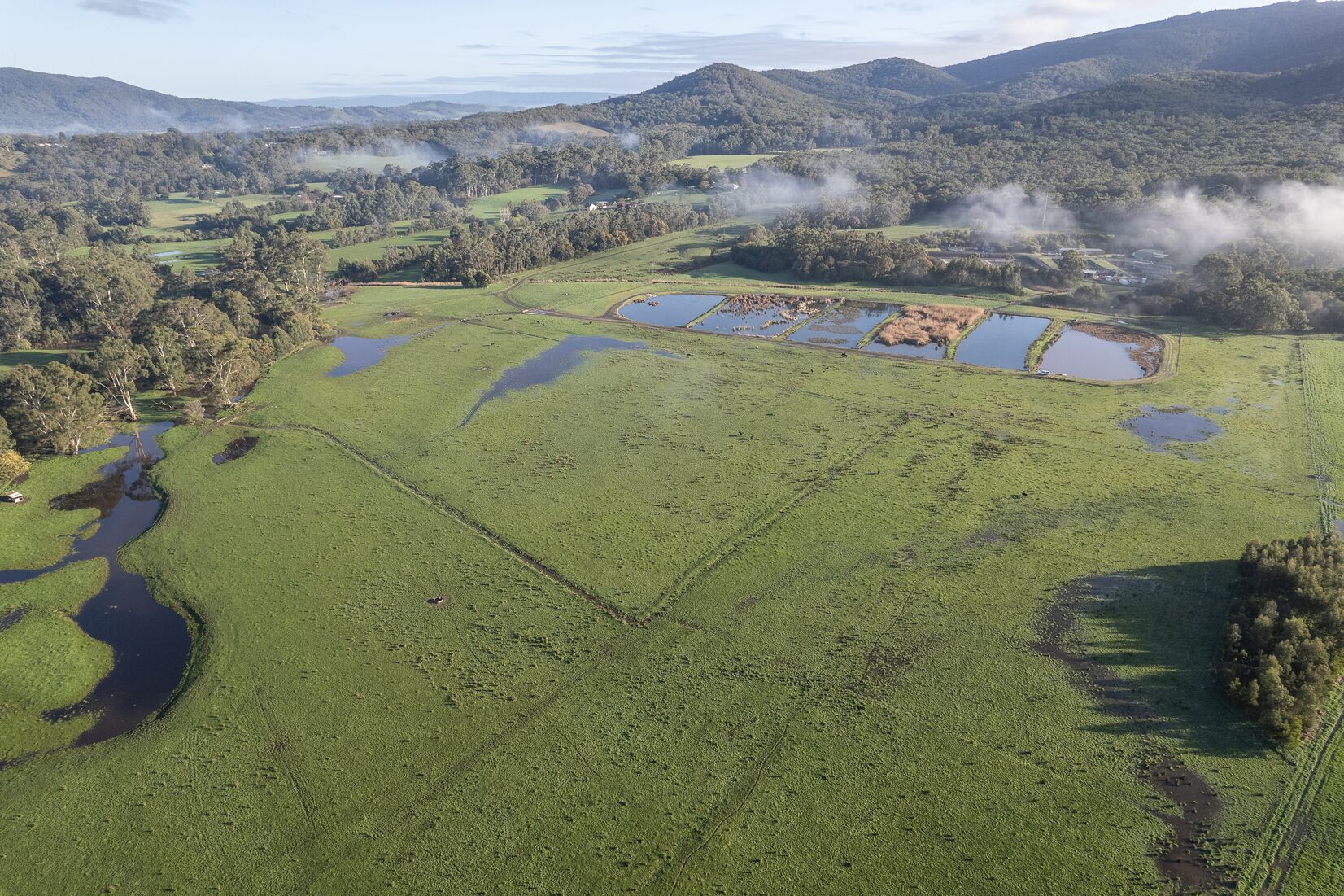 YVW takes a novel approach to wetland conservation - Utility Magazine