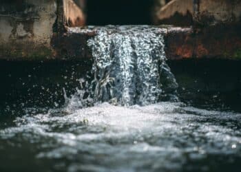 Image: Best/stock.adobe.com