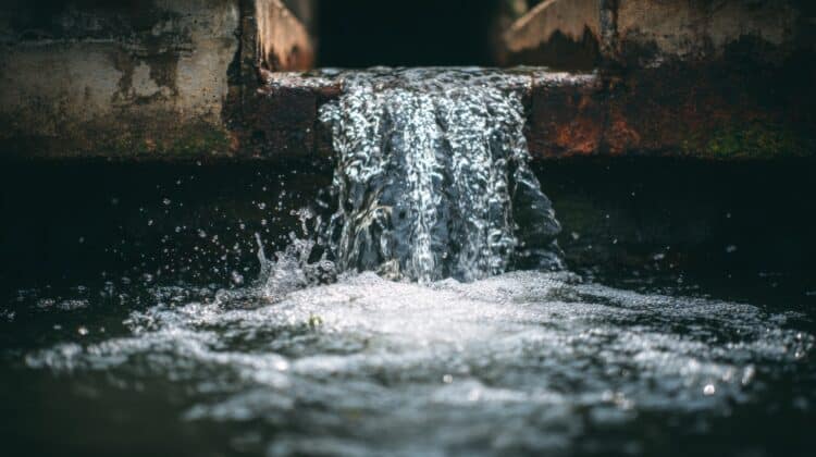 Image: Best/stock.adobe.com