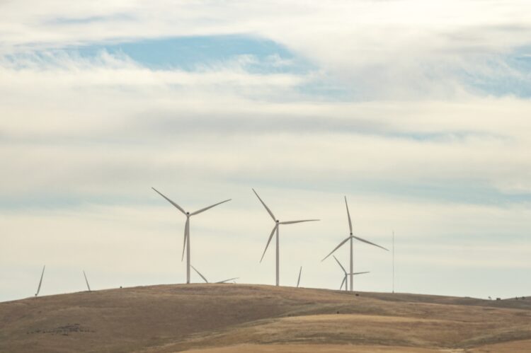 Image: sean heatley/stock.adobe.com
