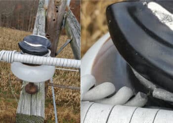 It is hard to find asset defects from ground level. Image: RMIT University
