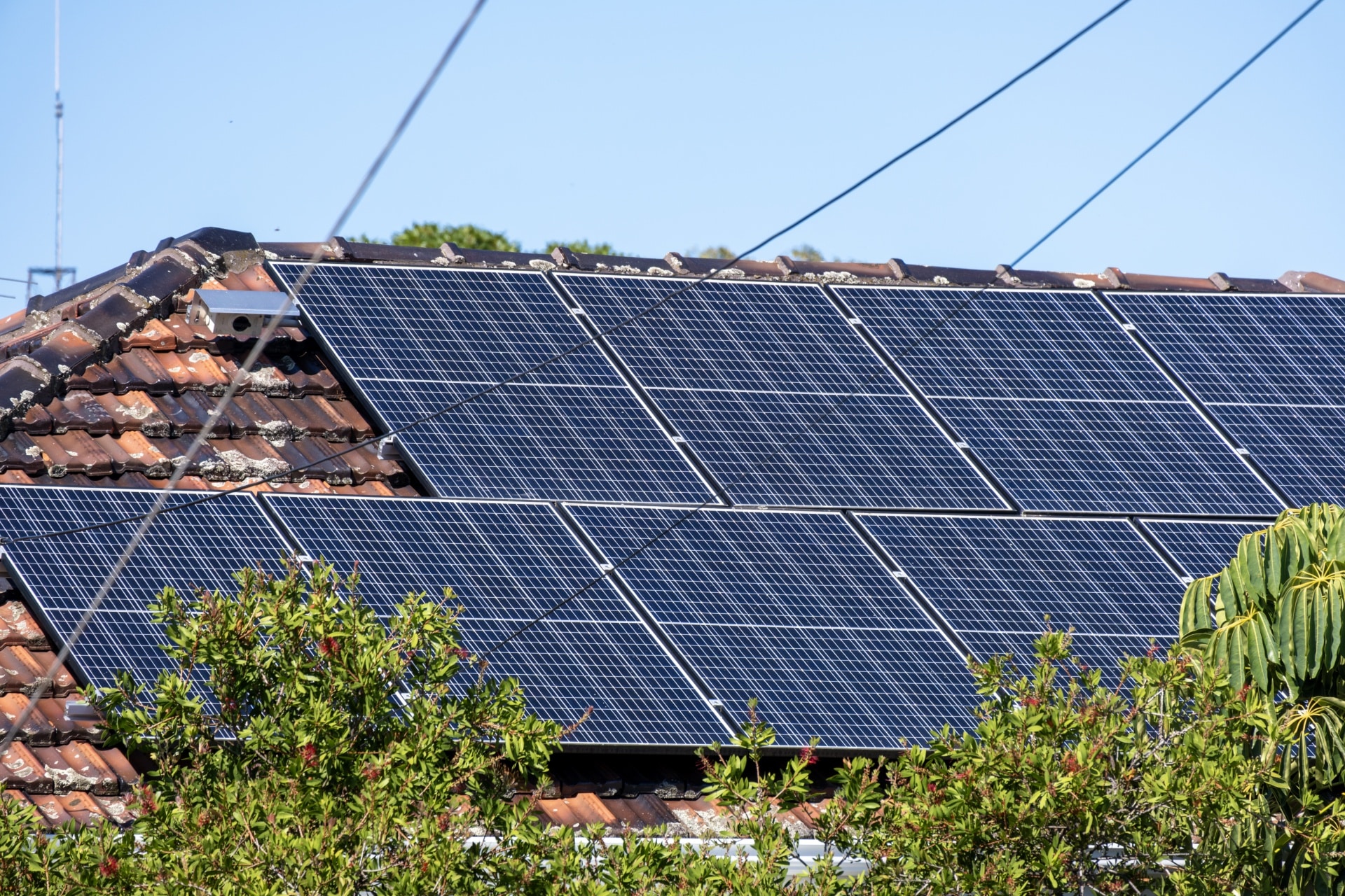 Renewables continue to lower Australia's emissions